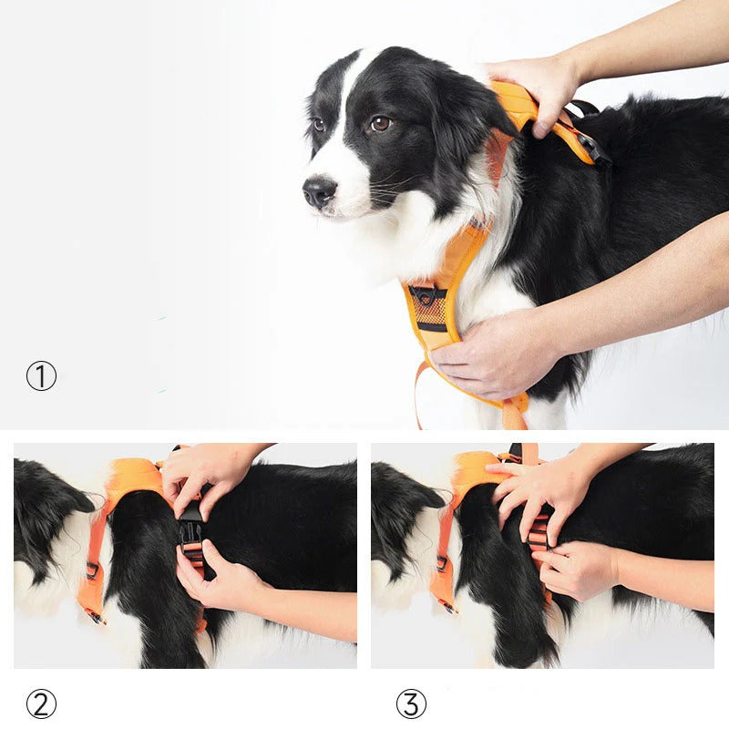 ComfyWalk Harness & Leash Set