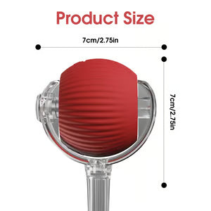 Smart Chase Pet Toy Ball