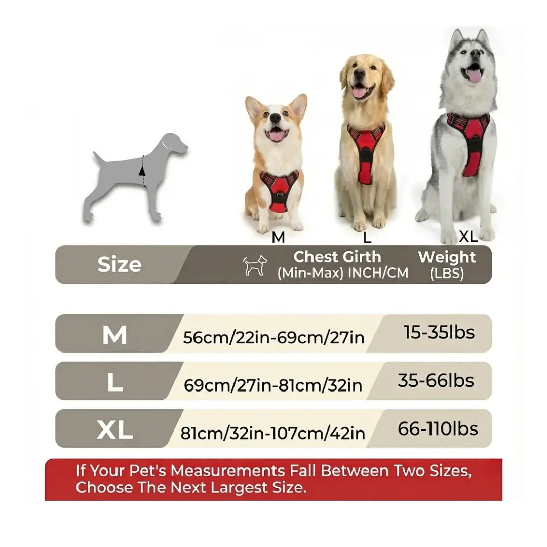 ComfyWalk Harness & Leash Set