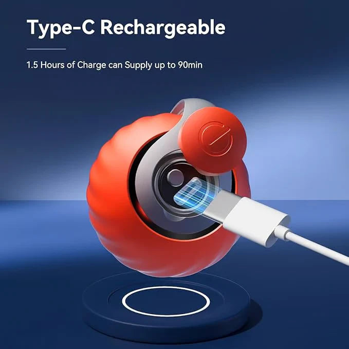 Speedy Tail Interactive Cat Toy