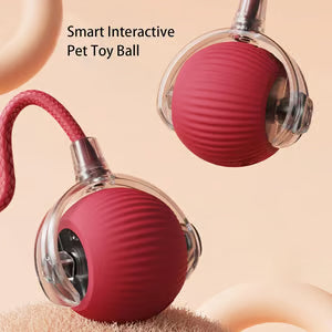 Smart Chase Pet Toy Ball