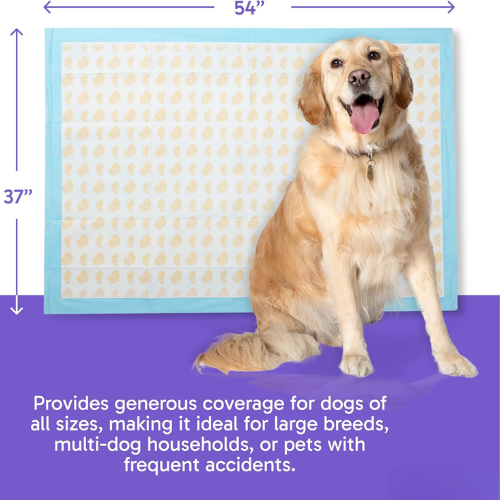 Health Monitoring Dog Pee Pads