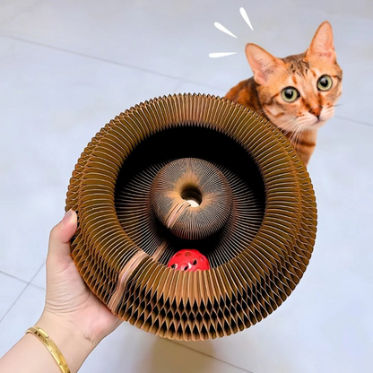 Interactive Curl Track Cat Toy