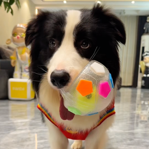 Interactive Bounce Soccer Ball