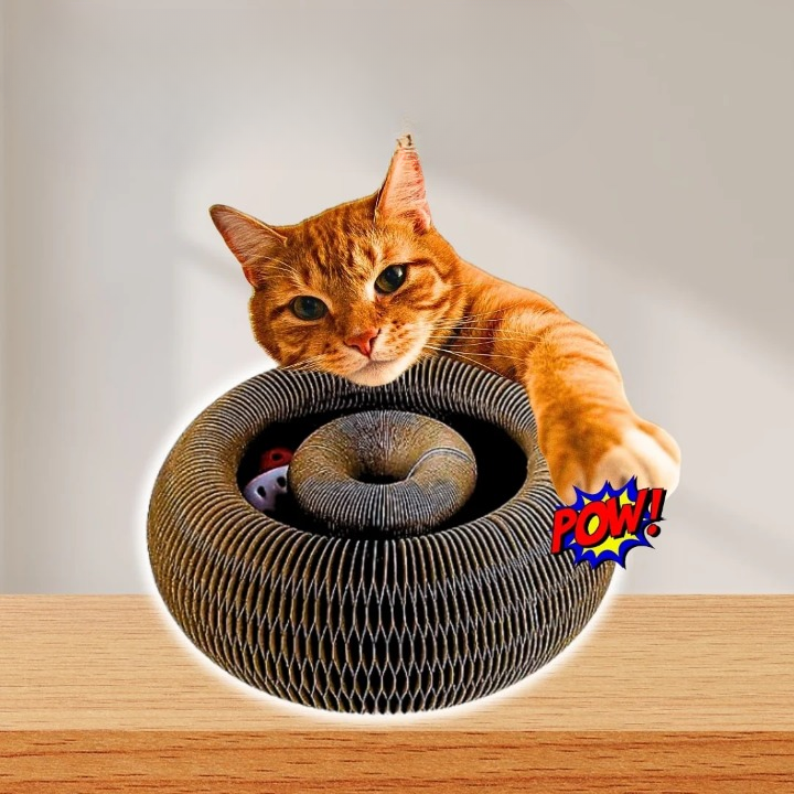 Interactive Curl Track Cat Toy
