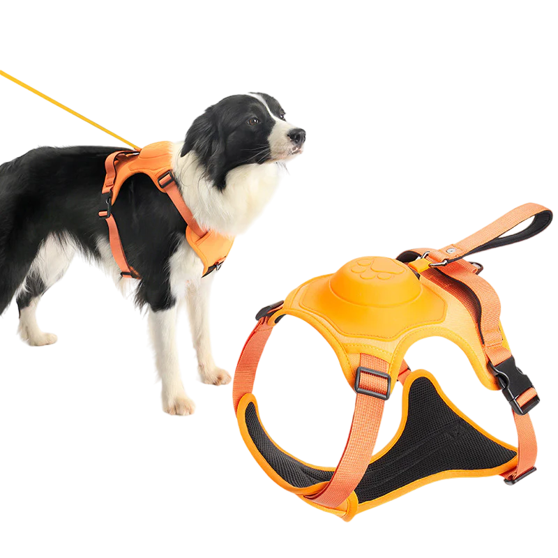 ComfyWalk Harness & Leash Set