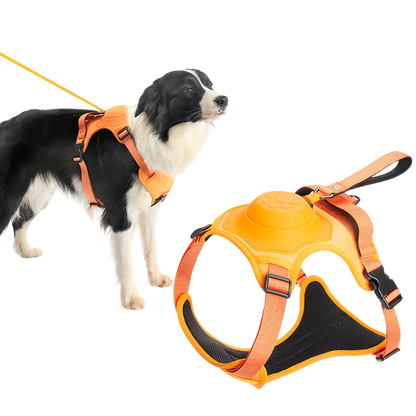 ComfyWalk Harness & Leash Set