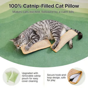 Interactive Catnip Chew Toy