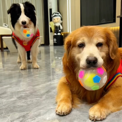Interactive Bounce Soccer Ball