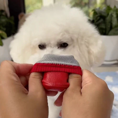 Cozy Waterproof Pet Shoes