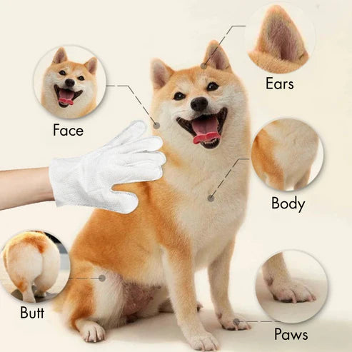 Pet Grooming Glove Wipes