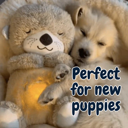 Calming Breathing Otter