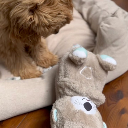Calming Breathing Otter