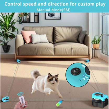Smart Electric Cat Chase Toy – 2 Pair Set