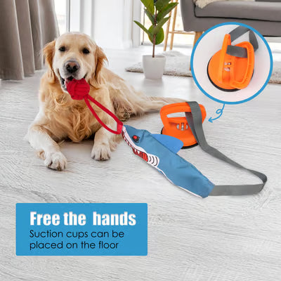 Tug-of-War Dog Toy with Suction Cup