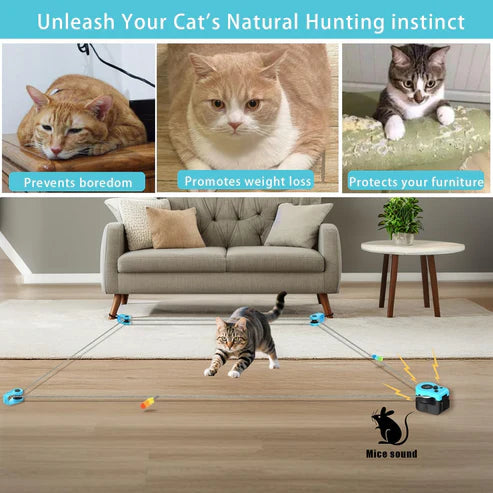 Smart Electric Cat Chase Toy – 2 Pair Set