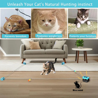 Smart Electric Cat Chase Toy – 2 Pair Set