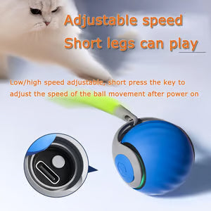 Speedy Tail Interactive Cat Toy