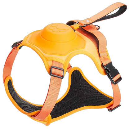 ComfyWalk Harness & Leash Set