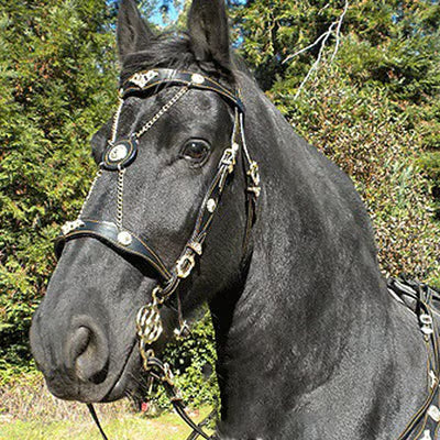 PU Leather Horse Halter with Adjustable Metal Buckle