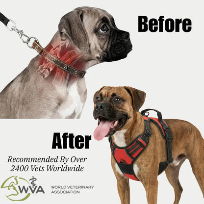 Adjustable Dog Harness
