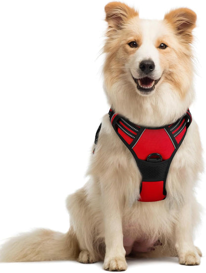 Adjustable Dog Harness