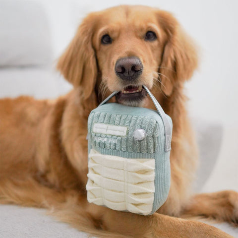 <p>Dog Essentials</p>