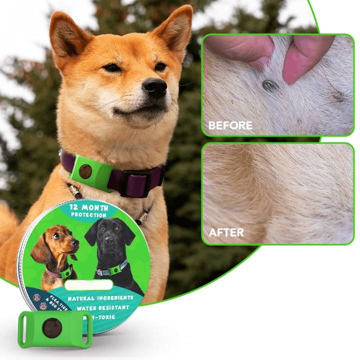 12-Month Flea & Tick Repellent Pendant