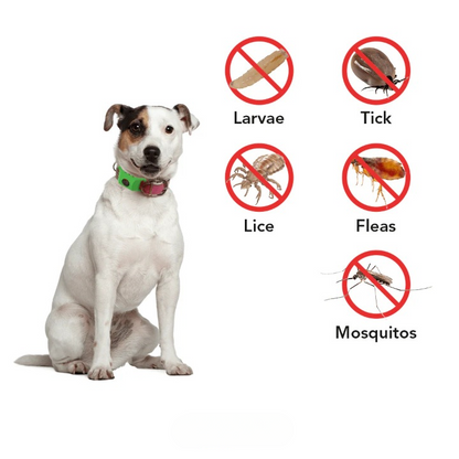 12-Month Flea & Tick Repellent Pendant