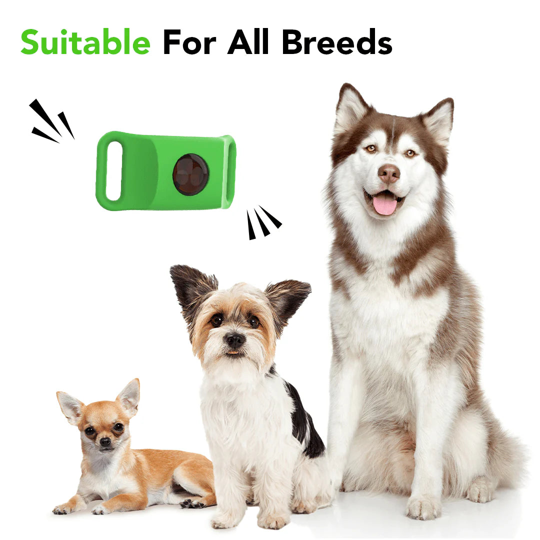 12-Month Flea & Tick Repellent Pendant