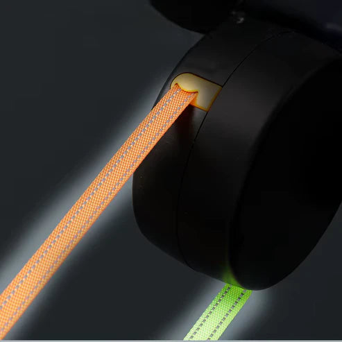 2-Dog Retractable Leash