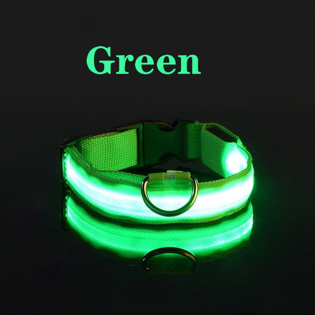 LED Flashing Dog Collar
