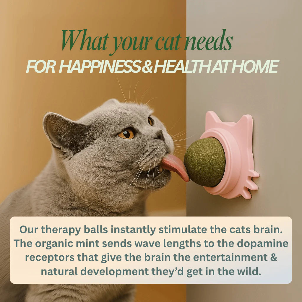 Catnip Therapy Ball