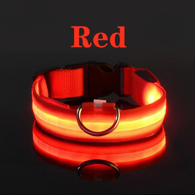 LED Flashing Dog Collar