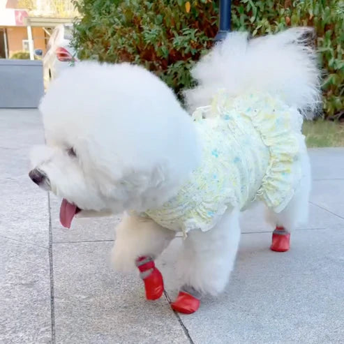 Cozy Waterproof Pet Shoes