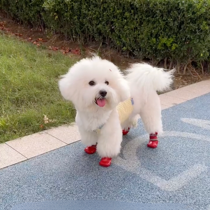 Cozy Waterproof Pet Shoes