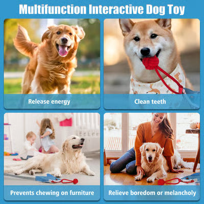 Tug-of-War Dog Toy with Suction Cup