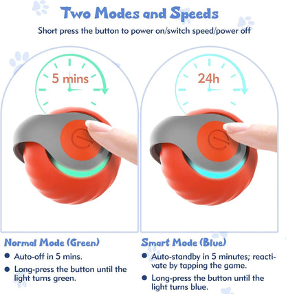 Speedy Tail Interactive Cat Toy