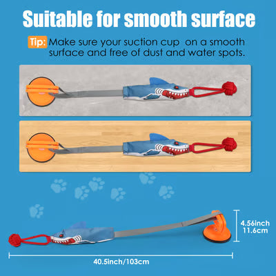 Tug-of-War Dog Toy with Suction Cup