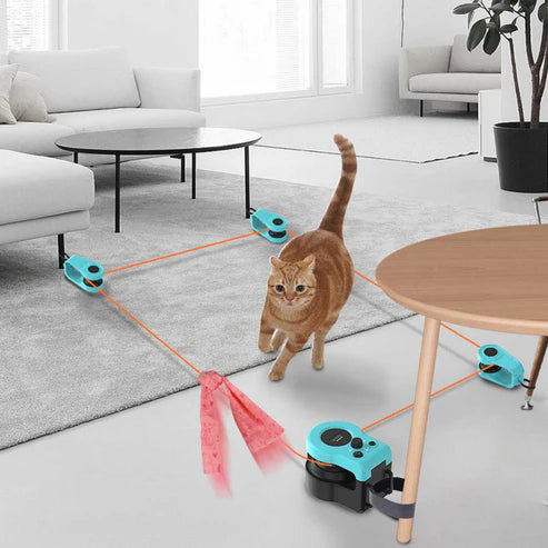 Smart Electric Cat Chase Toy – 2 Pair Set