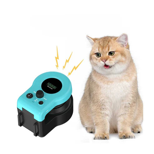 Smart Electric Cat Chase Toy – 2 Pair Set