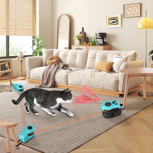 Smart Electric Cat Chase Toy – 2 Pair Set