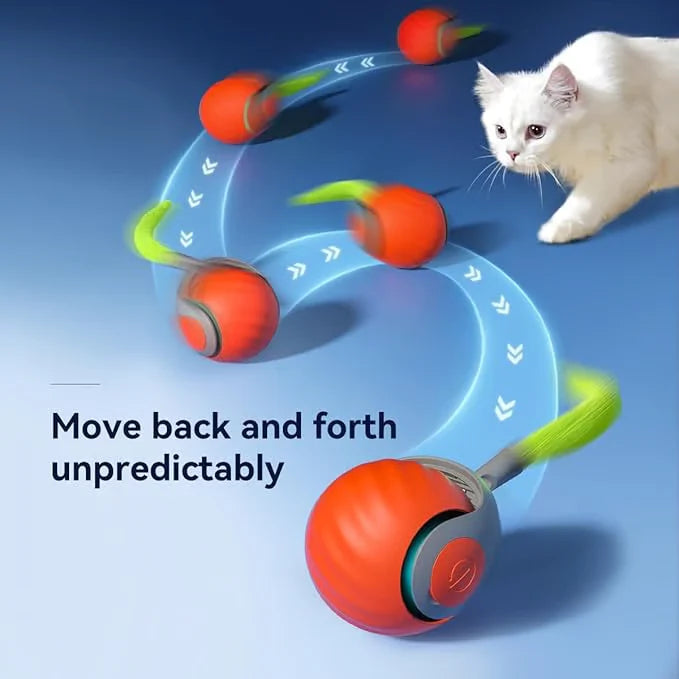 Speedy Tail Interactive Cat Toy