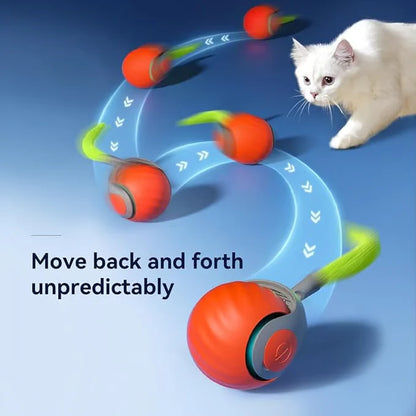 Speedy Tail Interactive Cat Toy
