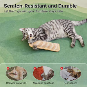 Interactive Catnip Chew Toy
