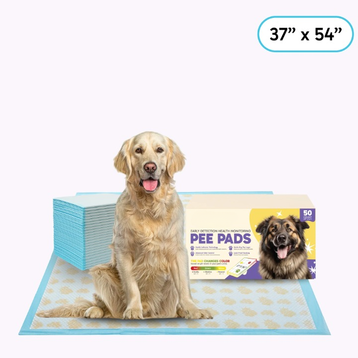 Health Monitoring Dog Pee Pads